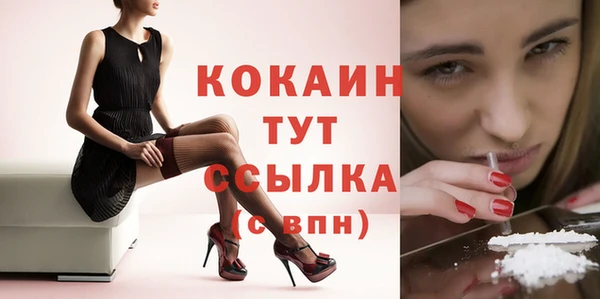 трава Вязьма
