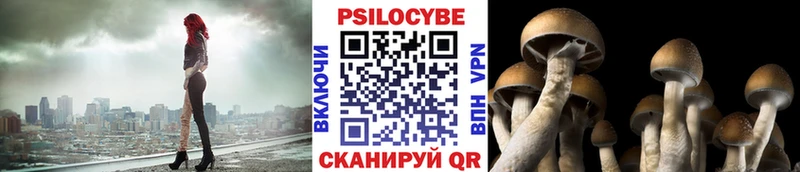Галлюциногенные грибы мицелий хочу наркоту Острогожск