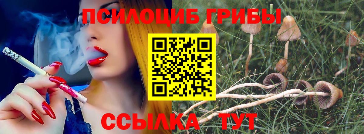 Псилоцибиновые грибы мухоморы  Вход с VPN  Острогожск  Галлюциногенные грибы прущие грибы 